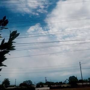 Meet your Posher, Jenny